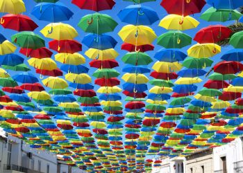 Umbrellas Over Rain Day
