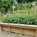 Public Service Profile: Corner Cupboard Food Bank Community Garden