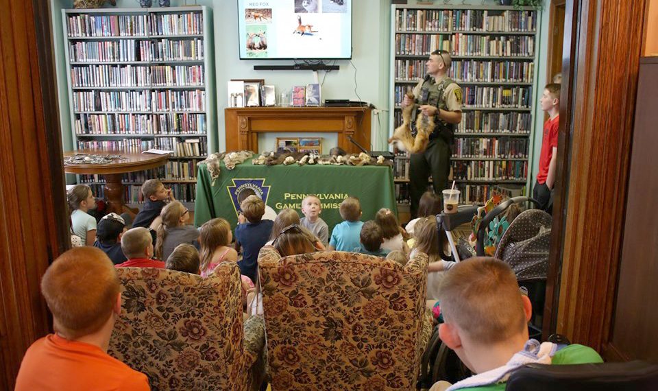 Cool at School: Bowlby Library Summer Reading