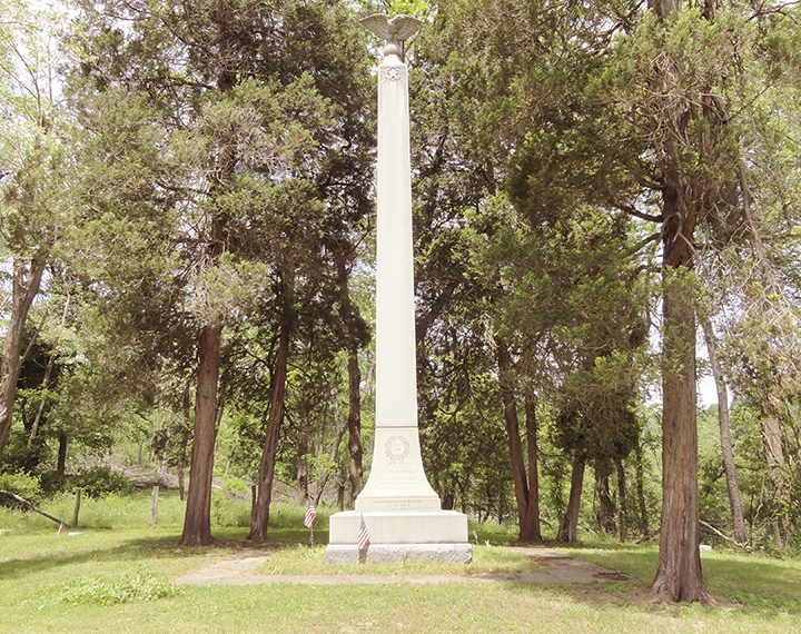 Going Greene: The Dream of a Dreamer