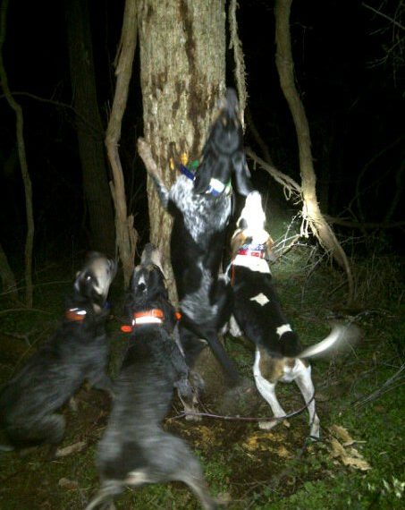 Going Greene: A Howling Good Time