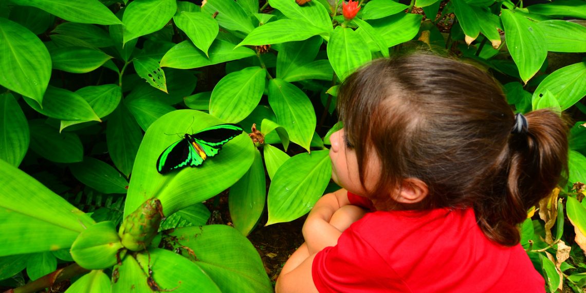 Kids Gardening Fun