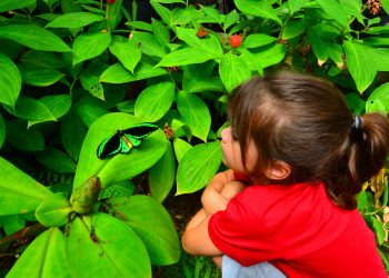 Kids Gardening Fun