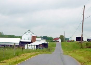 Road Trippin’ in Greene