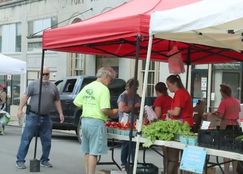 Road Trippin’ in Greene