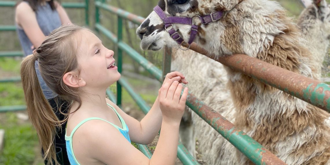 Family Fun on the Farm