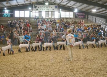 What Brings You to the Fair? Greene County Youth in Agriculture