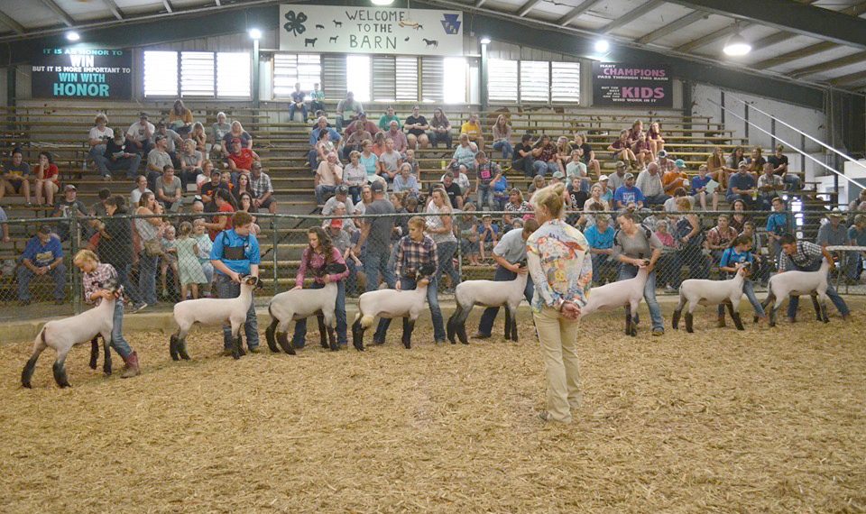 What Brings You to the Fair? Greene County Youth in Agriculture