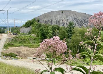 I Love This Place: Nemacolin, PA