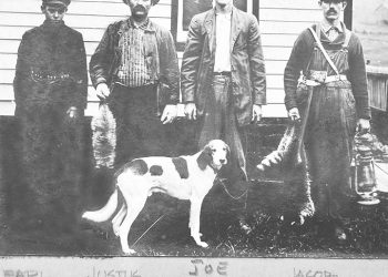 Shining the Light: Servant Song