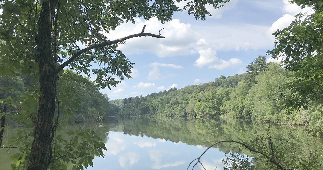 Getting Better in Greene: Wisecarver Recreation Area