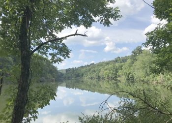 Getting Better in Greene: Wisecarver Recreation Area