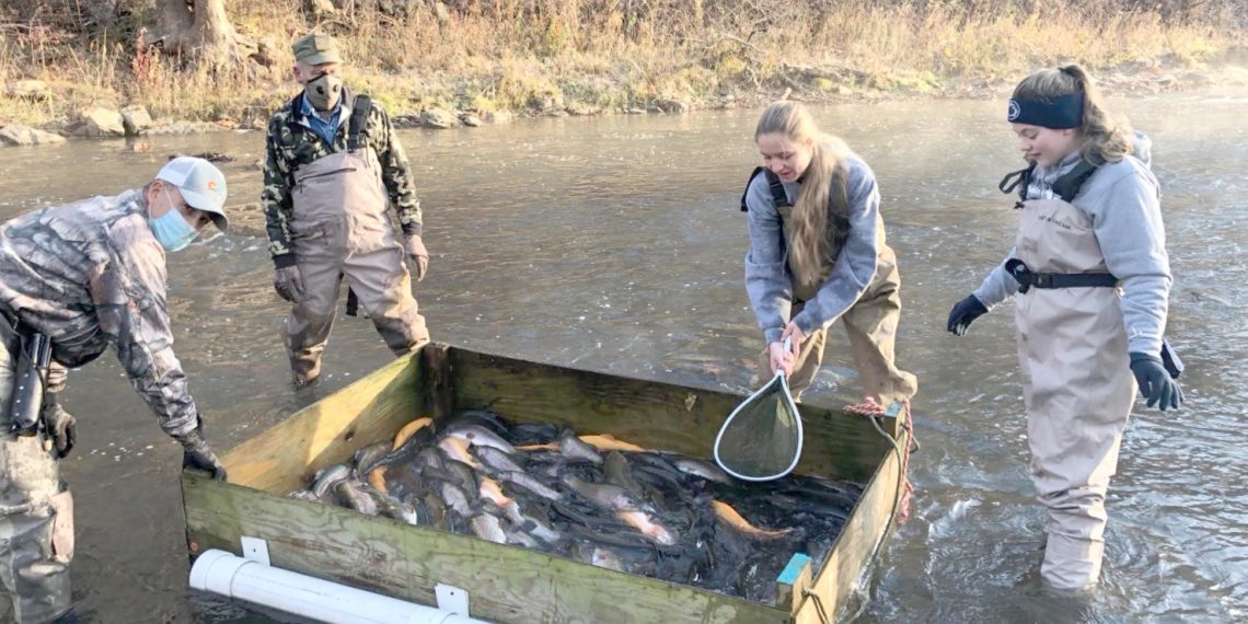 Cool at School: Carmichaels Area High School