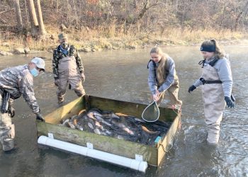 Cool at School: Carmichaels Area High School