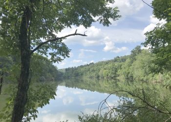 Getting Better in Greene: Wisecarver Recreation Area Update