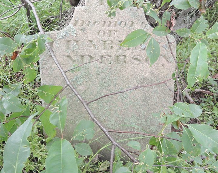 Greene Artifacts: Sanborn Fire Insurance Atlas