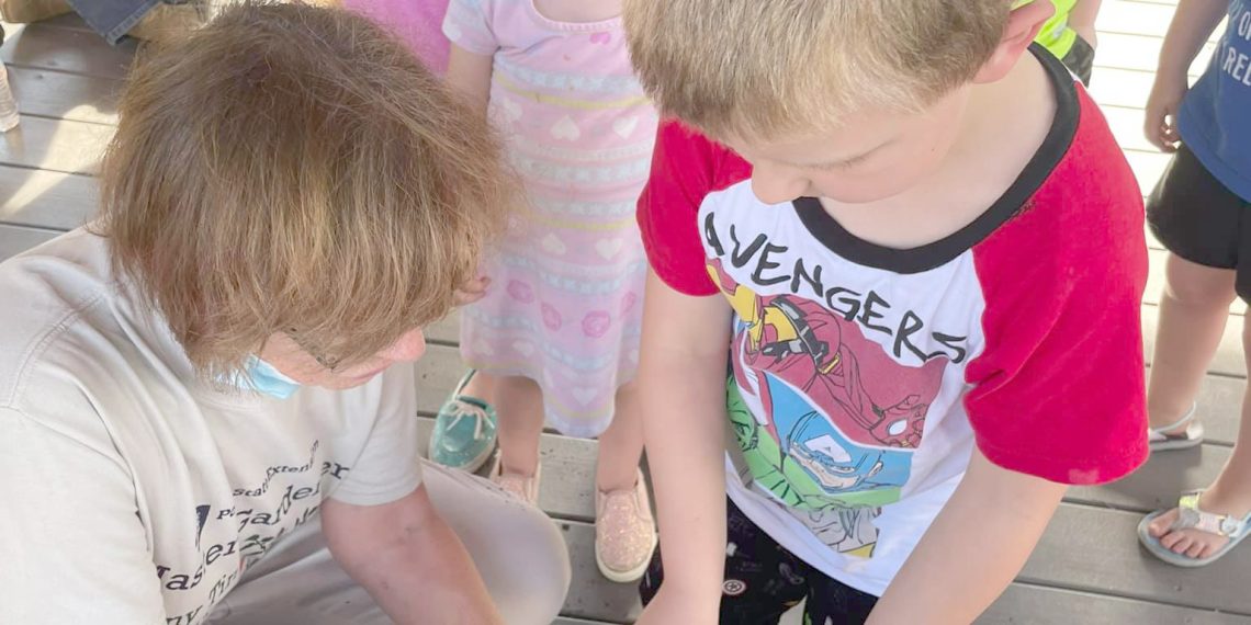 Cool at School: Tails & Tales Summer Reading Quest