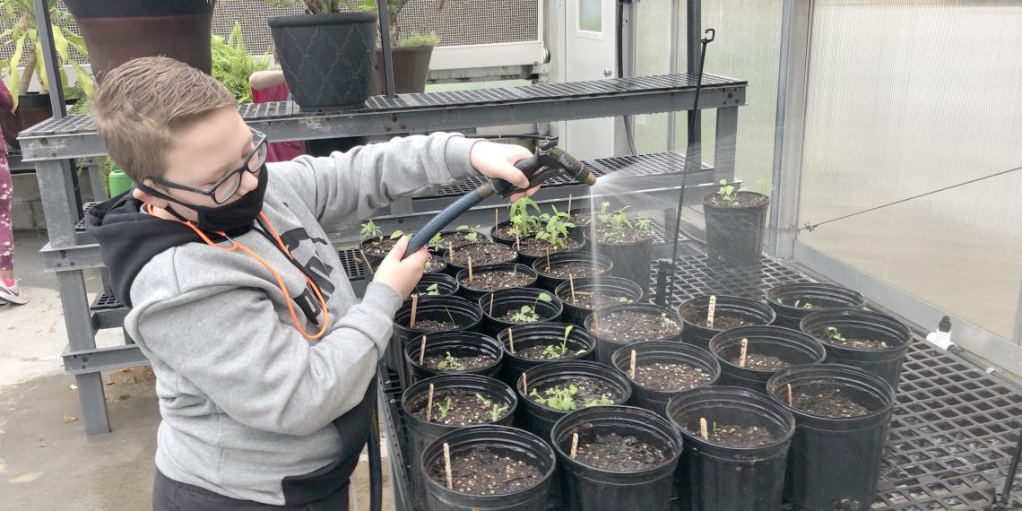 Cool at School: Carmichaels’ Greenhouse Projects