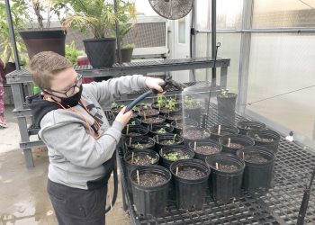 Cool at School: Carmichaels’ Greenhouse Projects