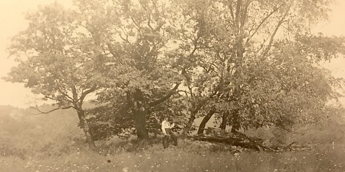 Going Greene: Greene Works! The Works Progress Administration