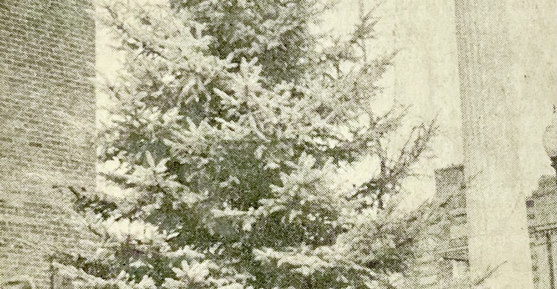 GreeneScene of the Past: Oh Christmas Tree!