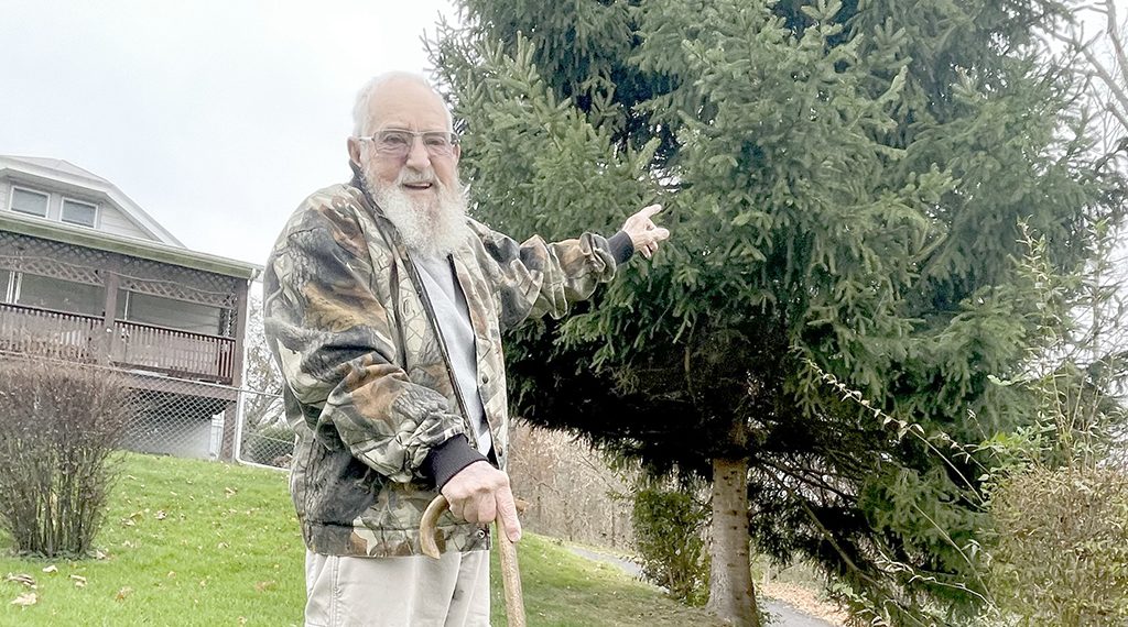 GreeneScene of the Past: Oh Christmas Tree!