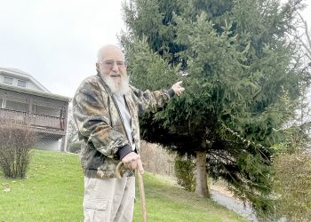 GreeneScene of the Past: Oh Christmas Tree!