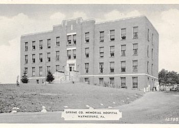 Public Service Profile: WHS Greene Auxiliary