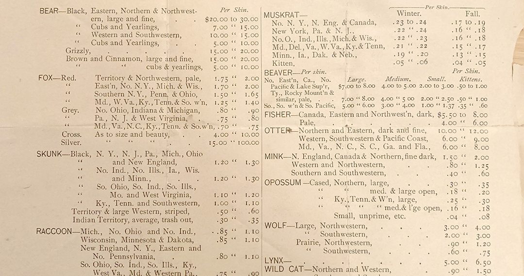 Greene Artifacts: Buying Fur in the 1890s