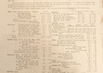 Greene Artifacts: Buying Fur in the 1890s