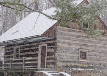 Going Greene: A Story From the Settlement