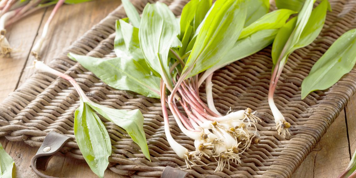 Ramping Up  for Spring