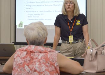 Keeping Our Pets Safe