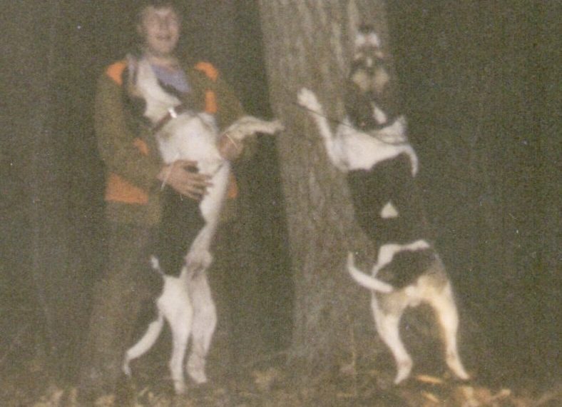 Going Greene: Wild and Wonderful Greene