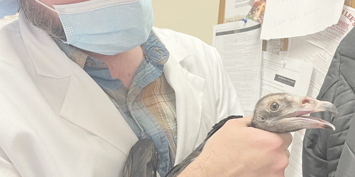 Eagle Scout Project Opens Door to the Past