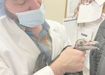 Eagle Scout Project Opens Door to the Past