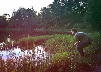 Going Greene: Worley’s Fort & Lake Wilma