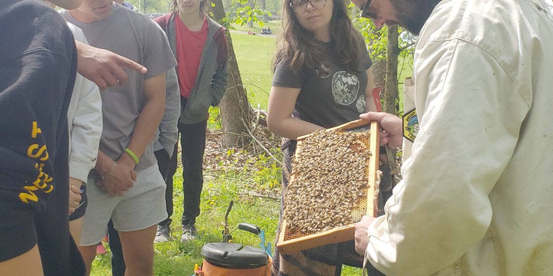 Cool at School: Beekeeping at Jefferson Morgan