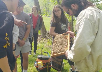 Cool at School: Beekeeping at Jefferson Morgan