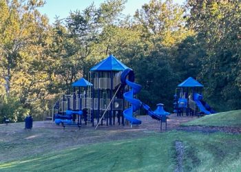 Public Service Profile: Crawford Park Renovations