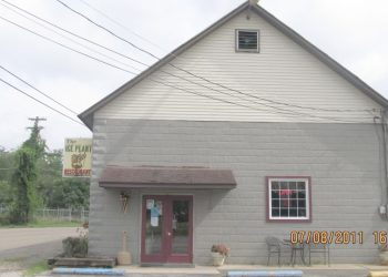 GreeneScene of the Past: The Ice Plant