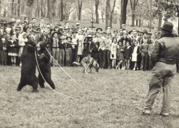 Going Greene: A Circus Mystery