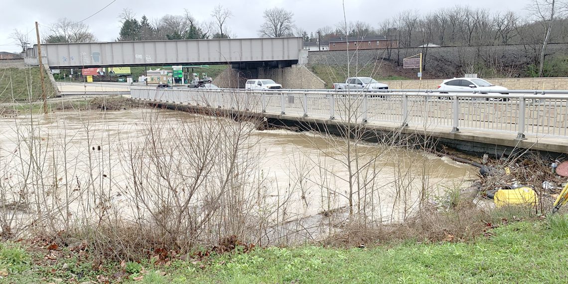 Out and About During a Greene Spring:  Enlow Fork & the 3rd PA Bird Atlas