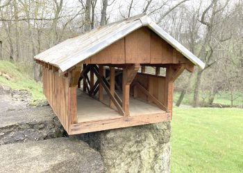 Out and About During a Greene Spring:  Enlow Fork & the 3rd PA Bird Atlas