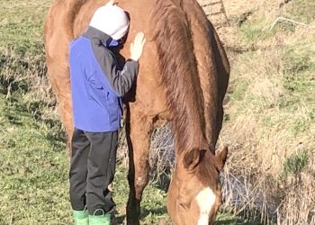 Out and About During a Greene Spring:  Enlow Fork & the 3rd PA Bird Atlas
