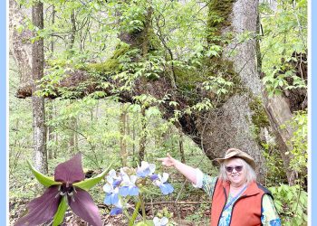 Out and About During a Greene Spring:  Enlow Fork & the 3rd PA Bird Atlas