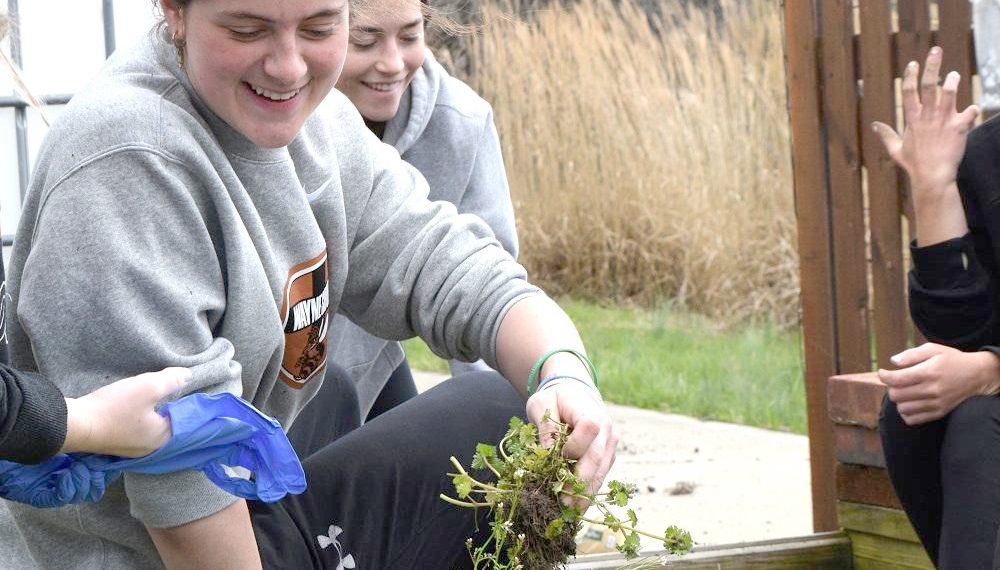Cool at School: West Greene School District & the FFA Greenhouse