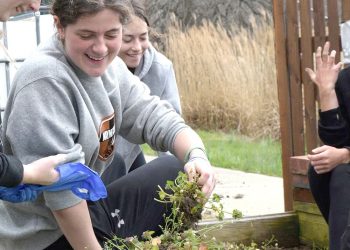 Cool at School: West Greene School District & the FFA Greenhouse