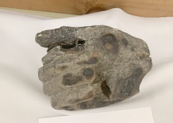 Going Greene… What’s in a Name?