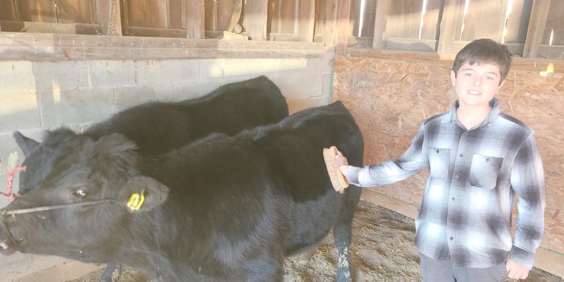 Steered in the Right Direction